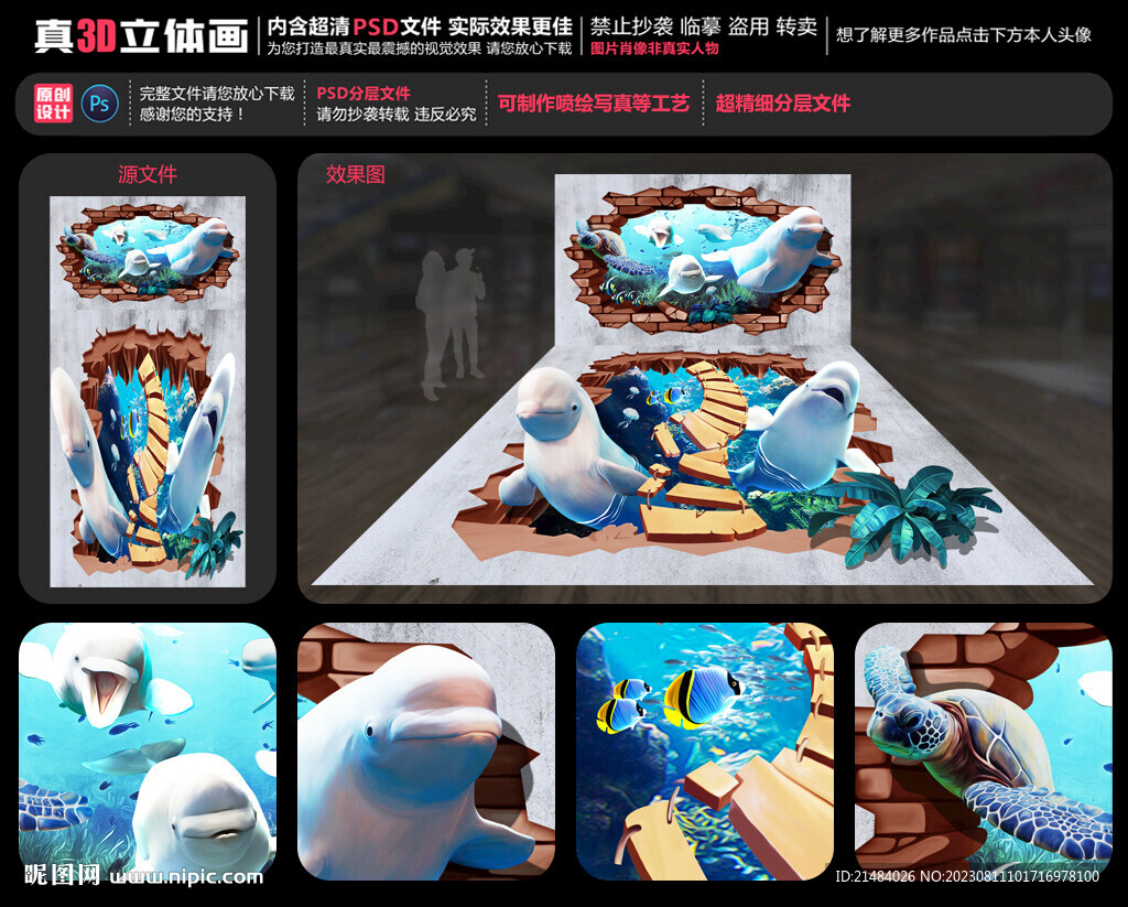 白鲸立体画
