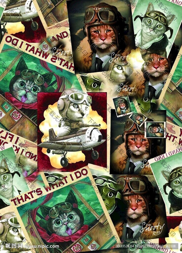 猫