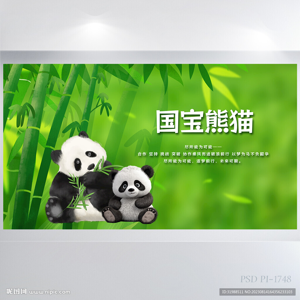 清新竹子国宝大熊猫展板海报设计