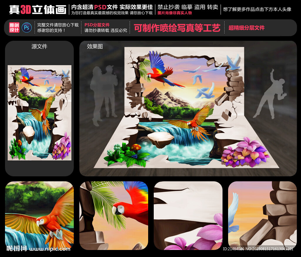 鹦鹉
