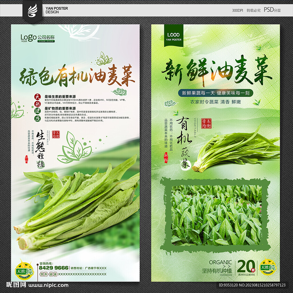 油麦菜