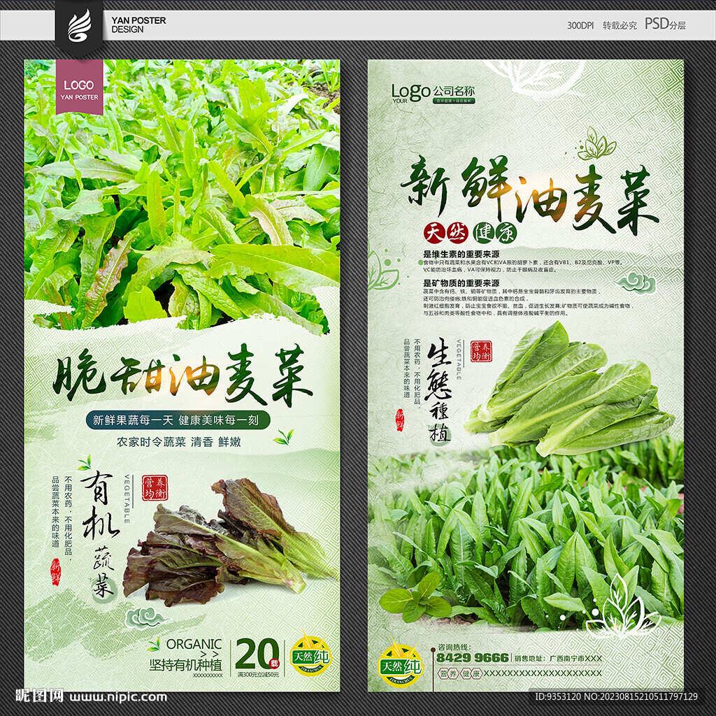 油麦菜