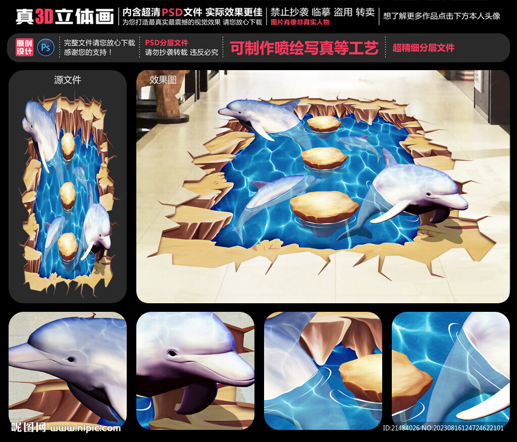 海豚
