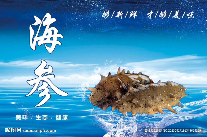 海参