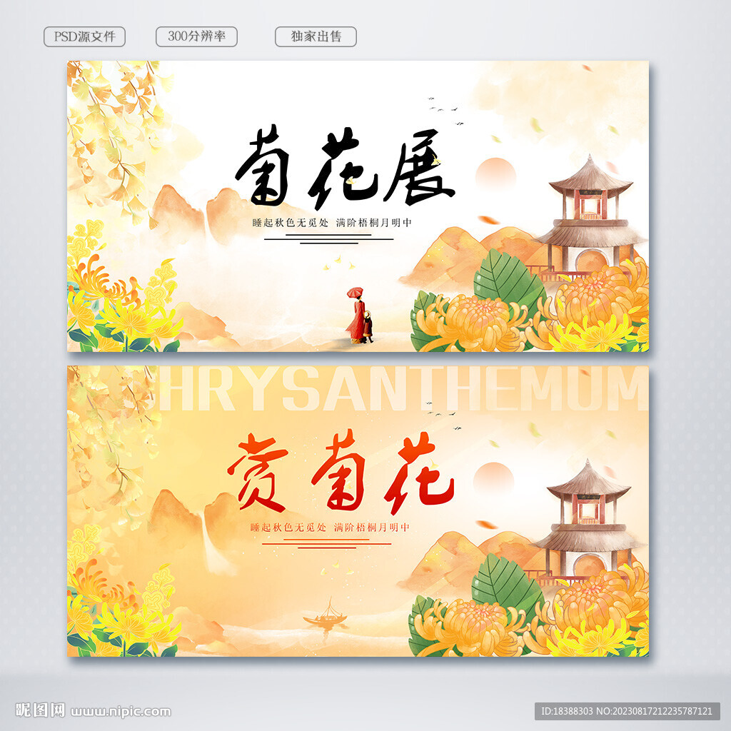菊花展
