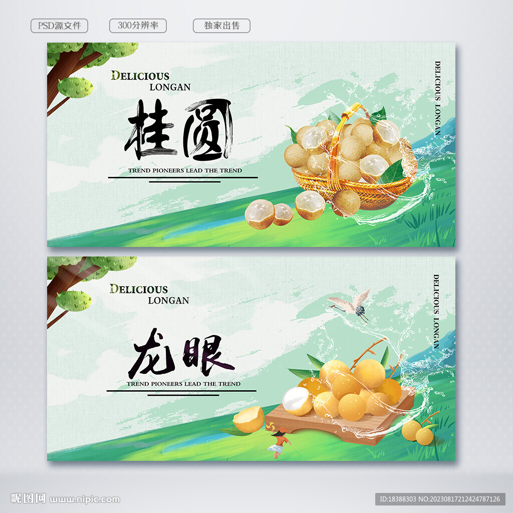 龙眼