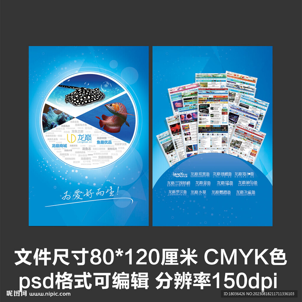 蓝色观赏鱼公司展板海报