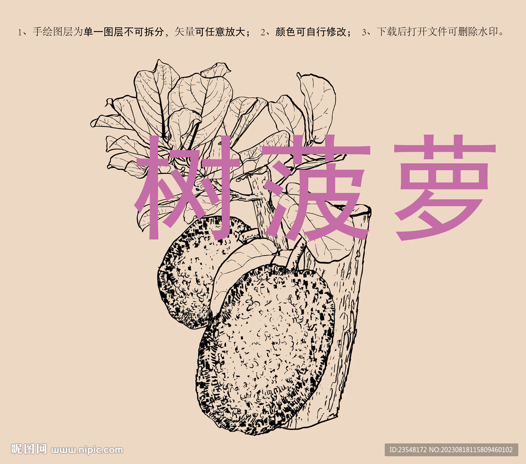 树菠萝