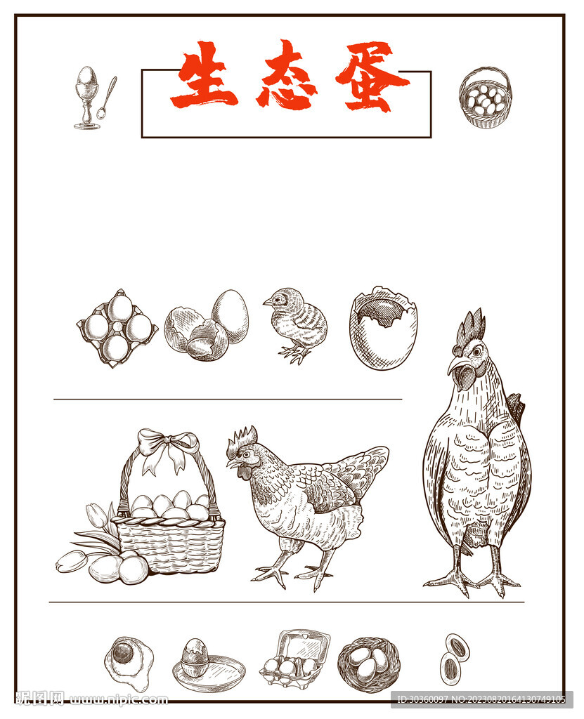 鸡蛋与鸡插画