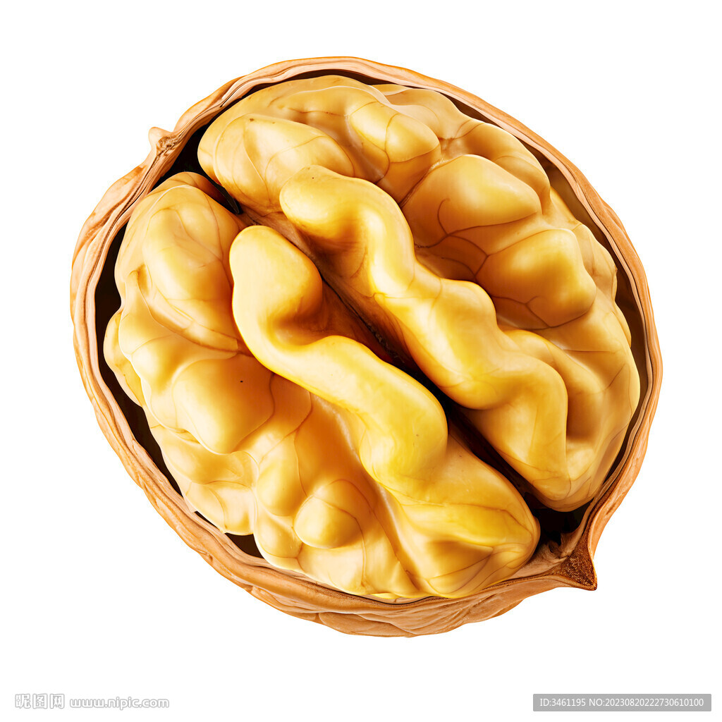 核桃素材分层图