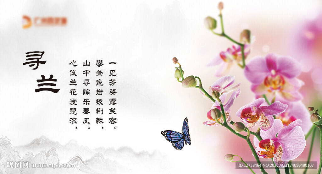 高清兰花海报