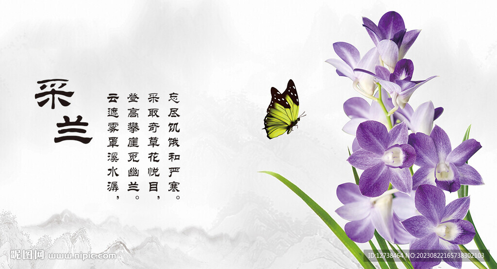 高清兰花海报