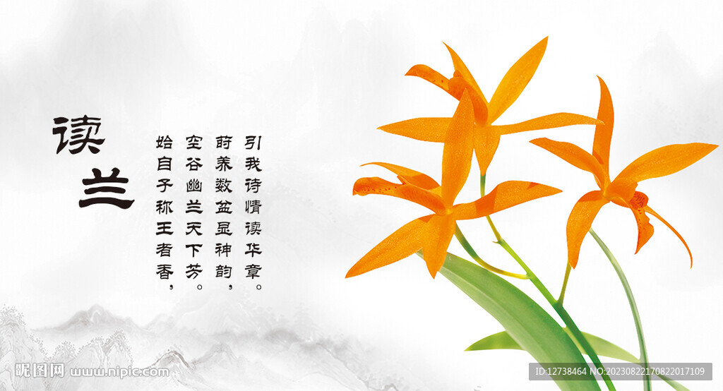 高清兰花海报