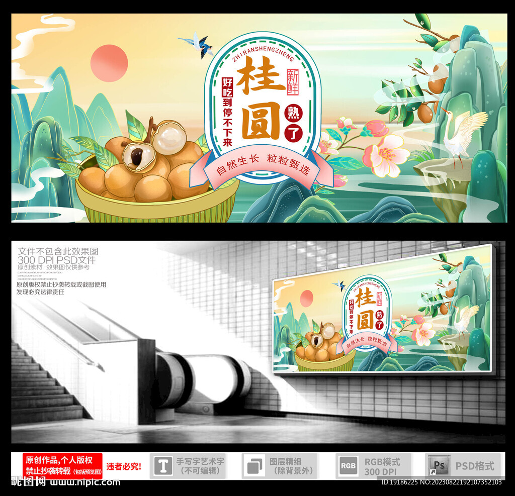 桂圆