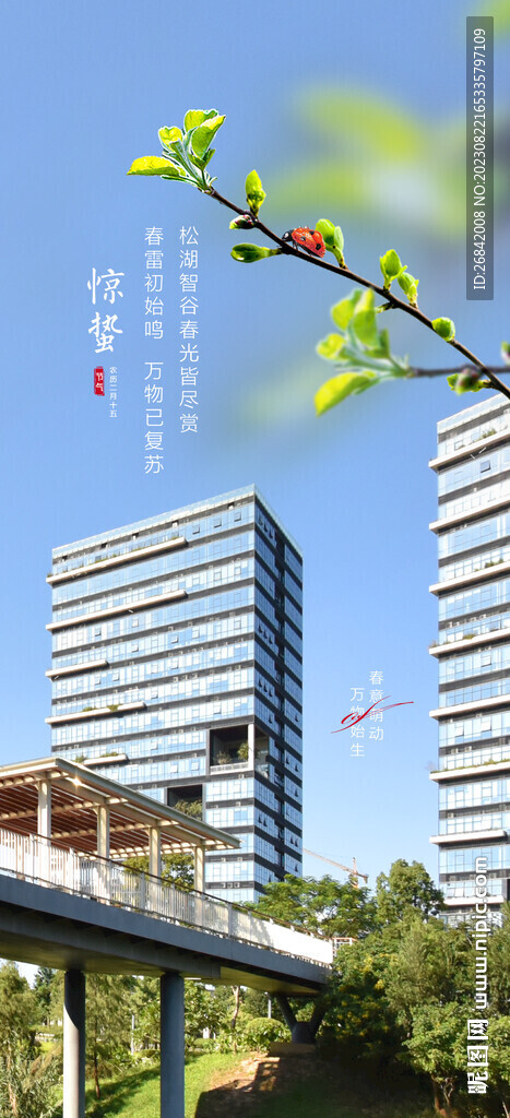 惊蛰