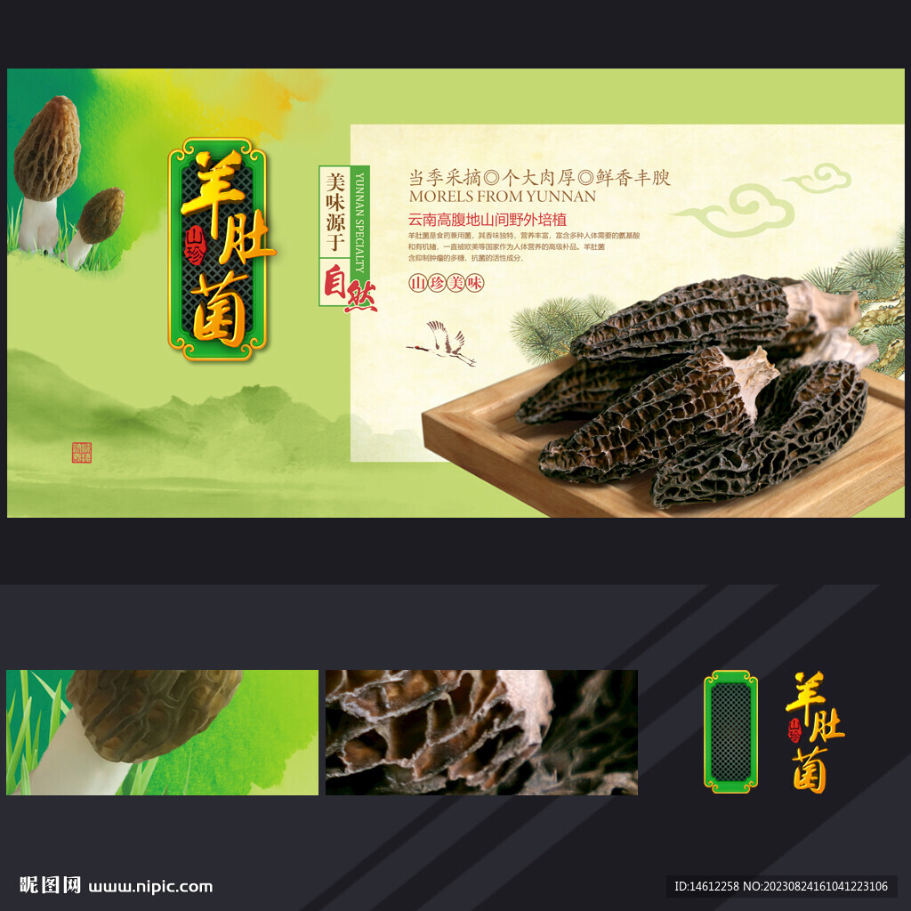 羊肚菌