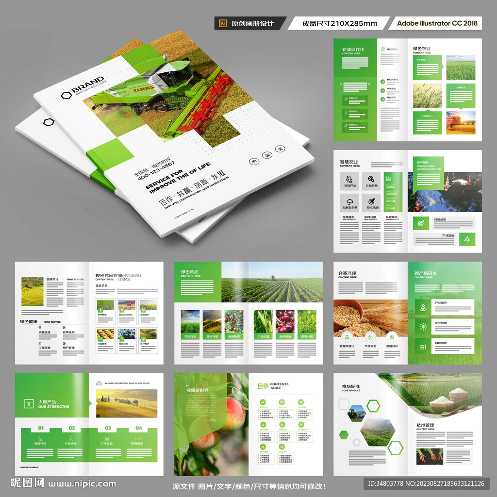 农产品宣传册