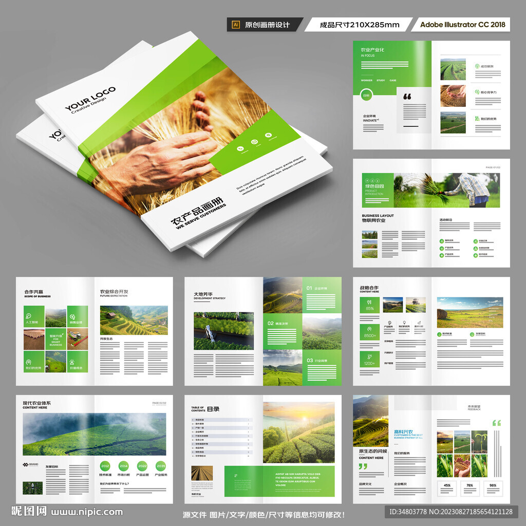 农业合作社画册