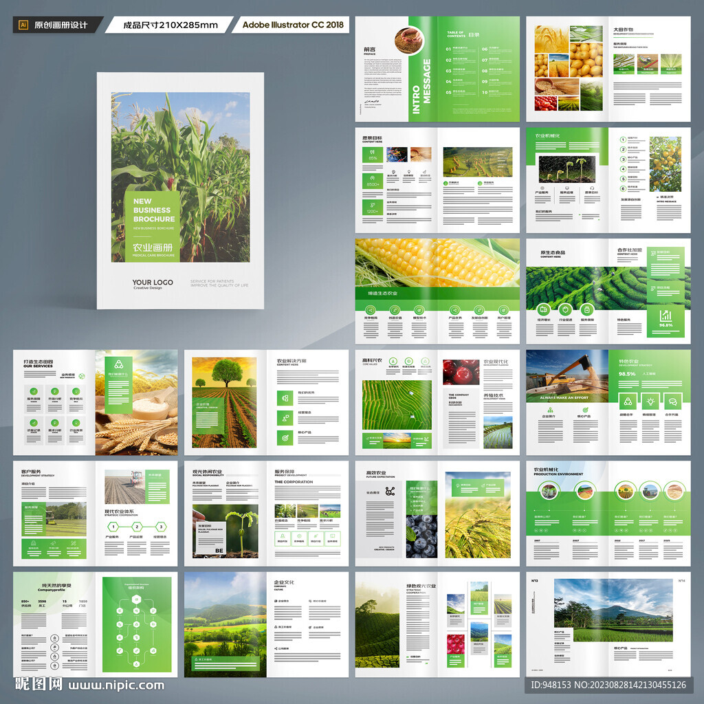 农产品画册