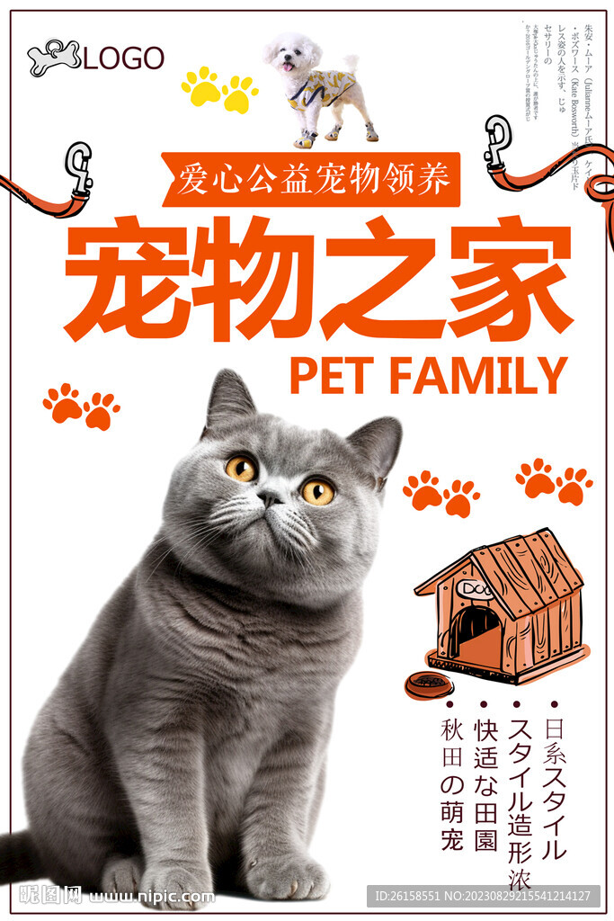 宠物