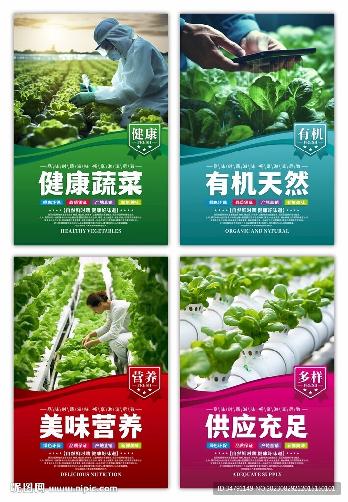 果蔬挂画海报