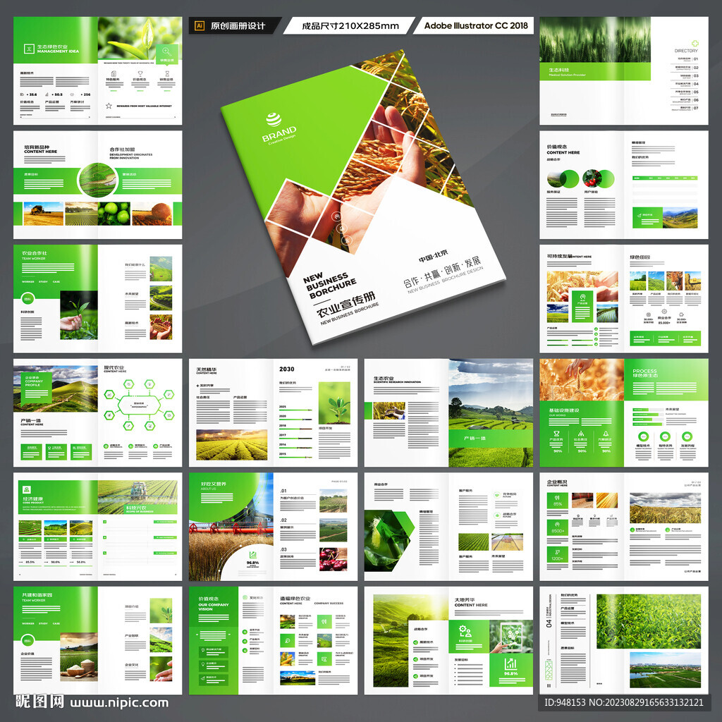 农业合作社画册