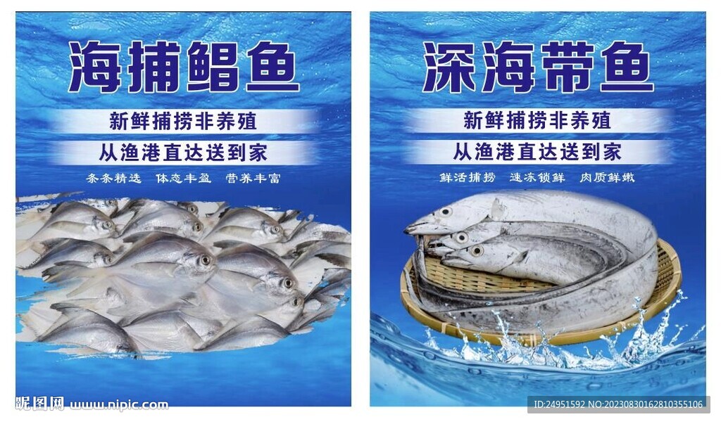 海鲜直播背景