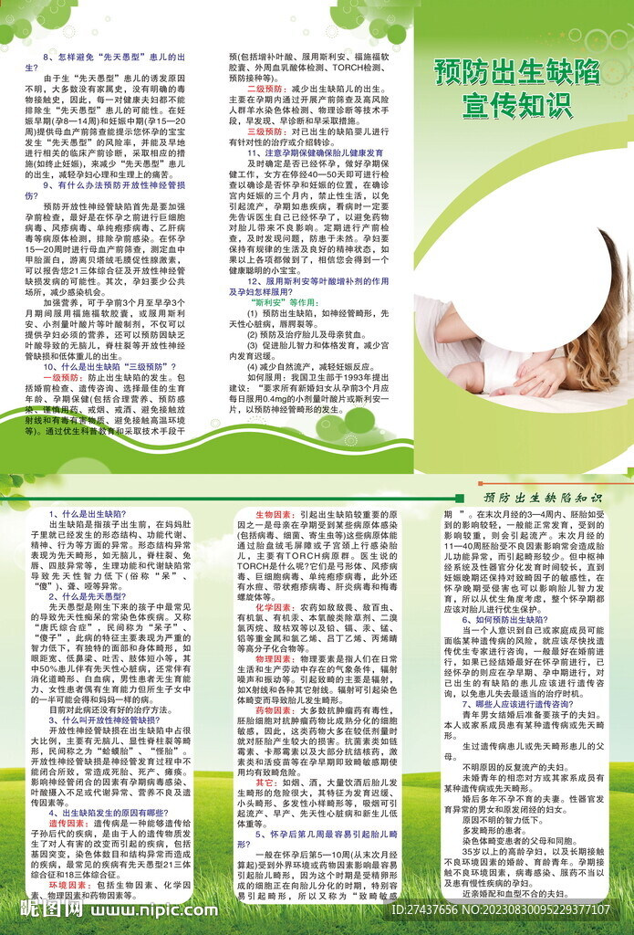 预防出生缺陷