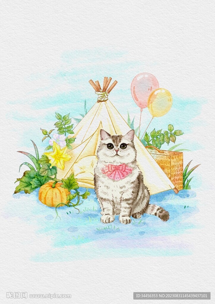 露营猫咪
