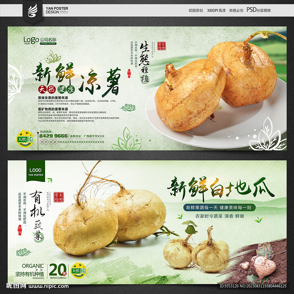 凉薯