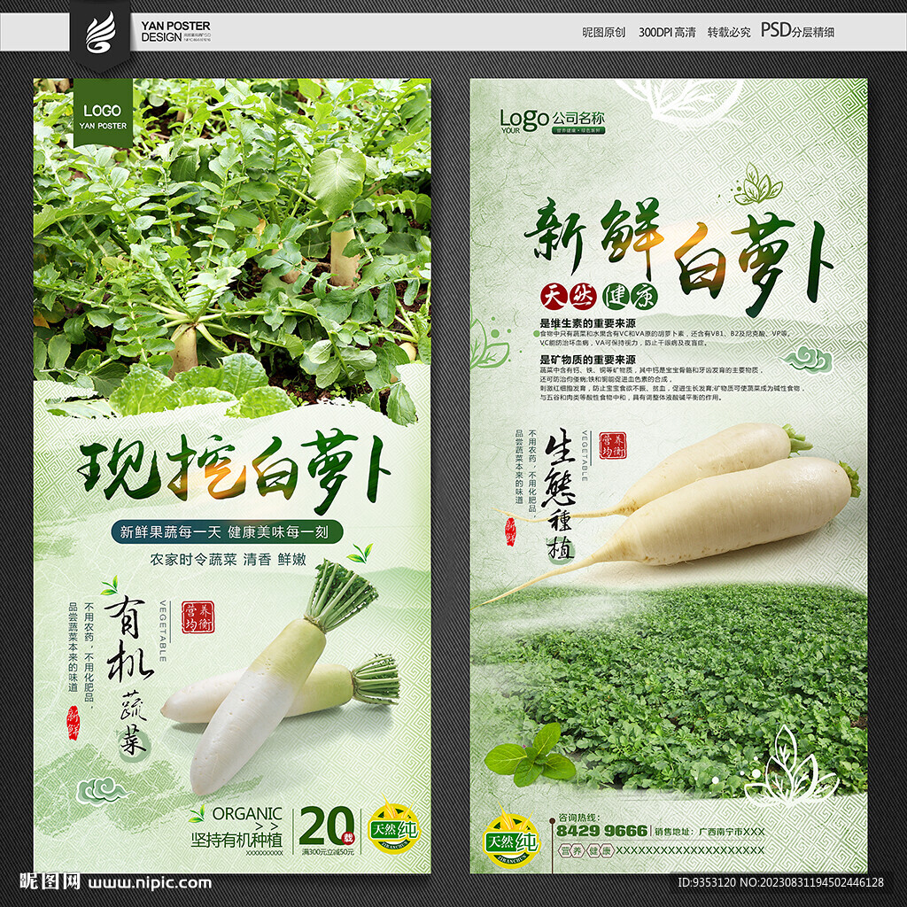 白萝卜