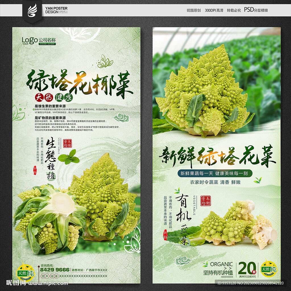 绿塔花菜