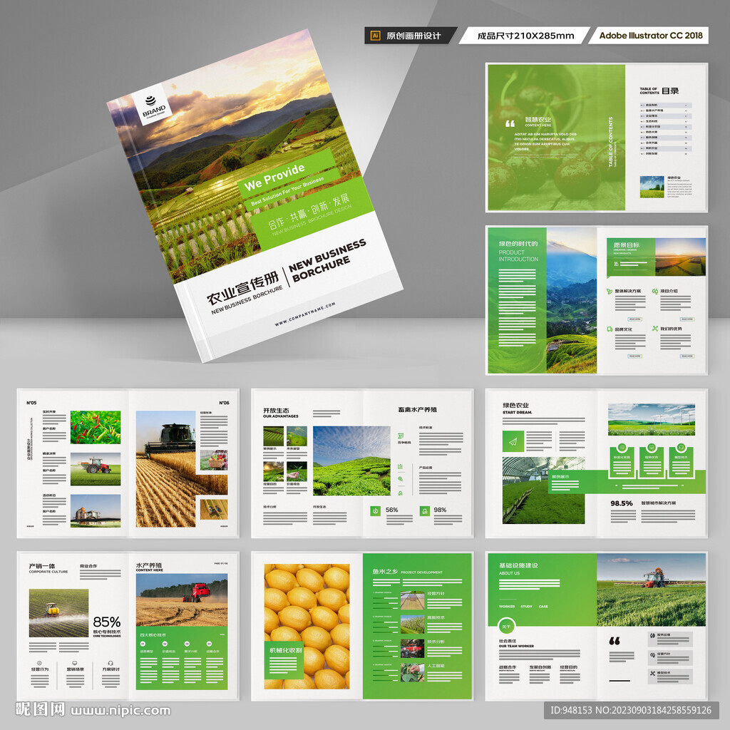 农业合作社画册
