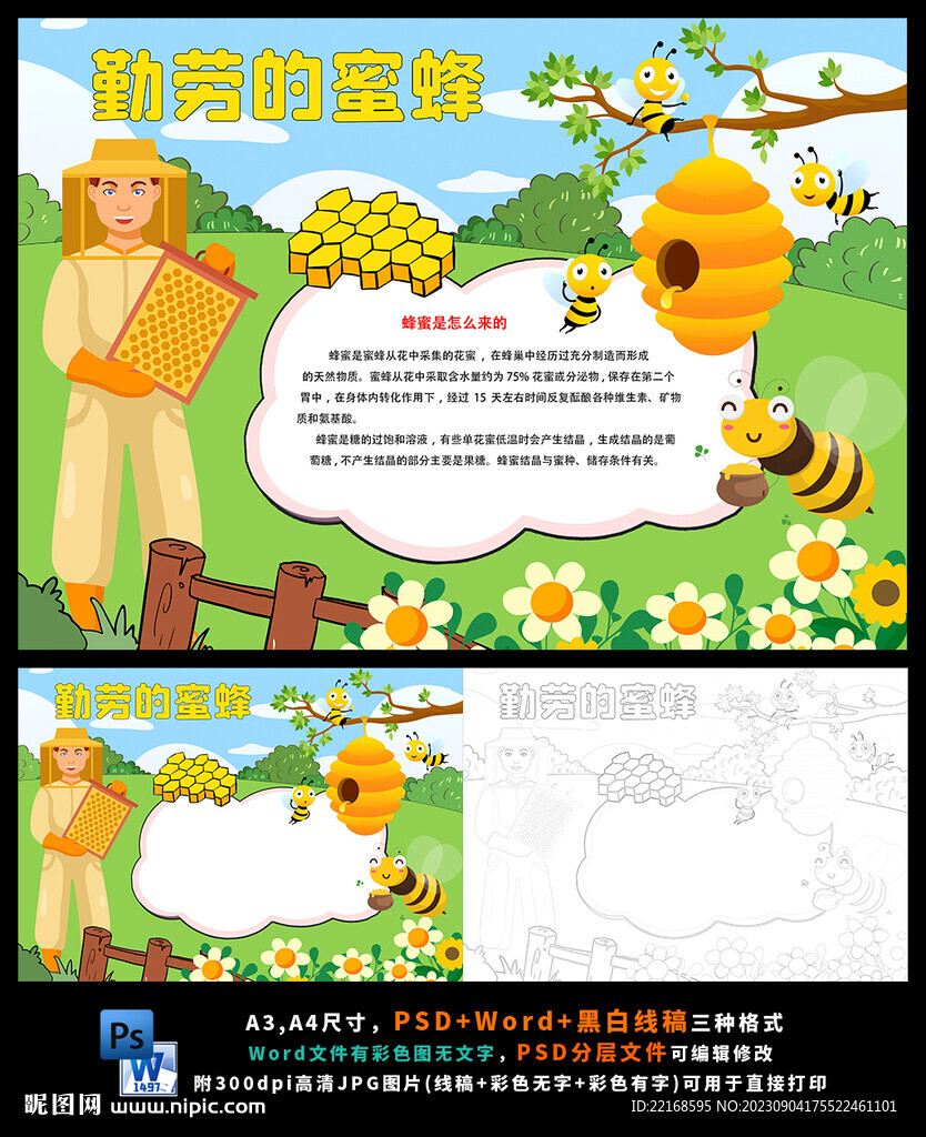 昆虫蜜蜂蜂巢蜂王浆蜂蜜小报