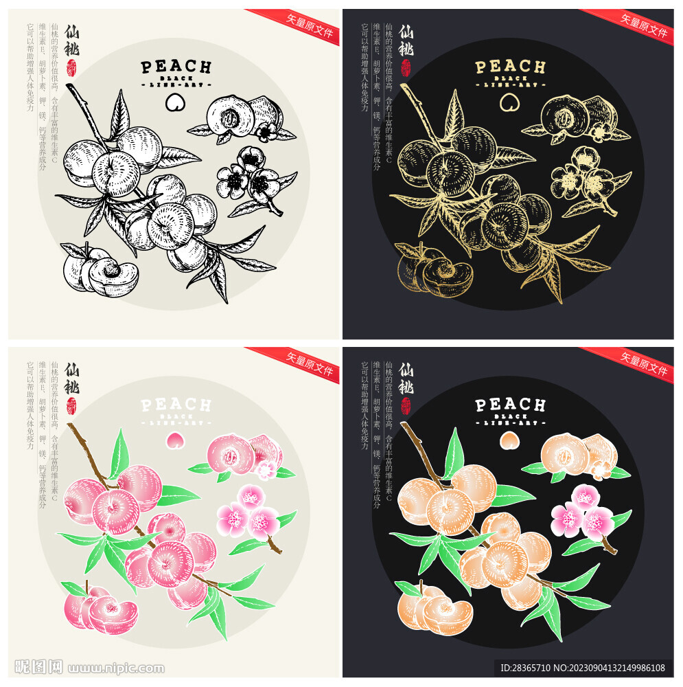 矢量桃子