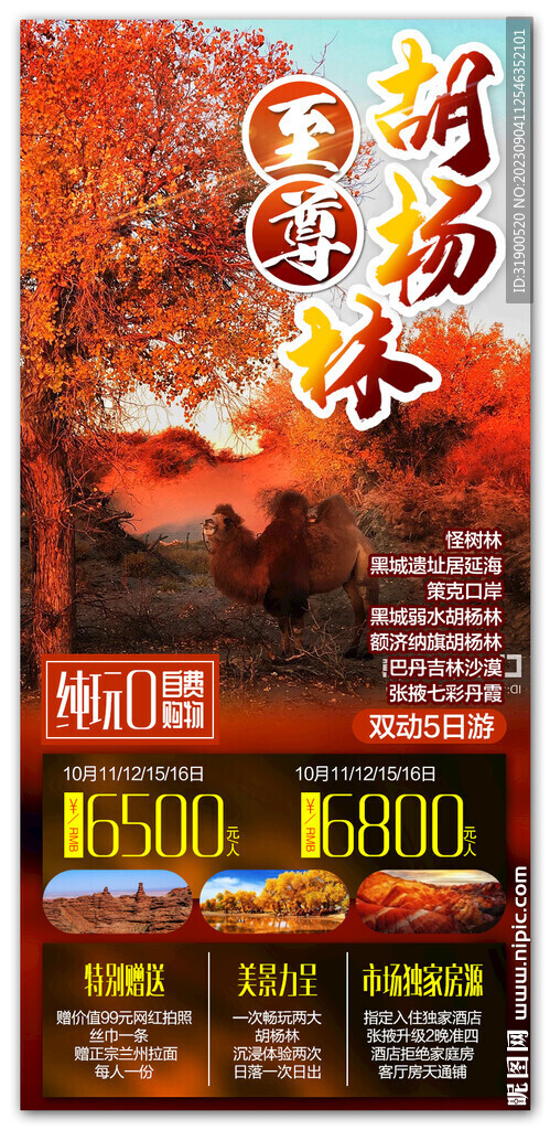 胡杨林旅游