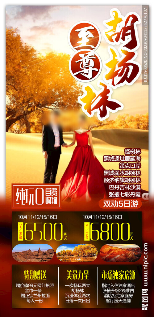 胡杨林旅游