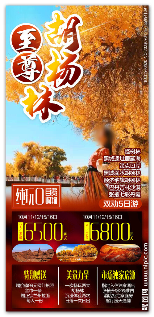 胡杨林旅游