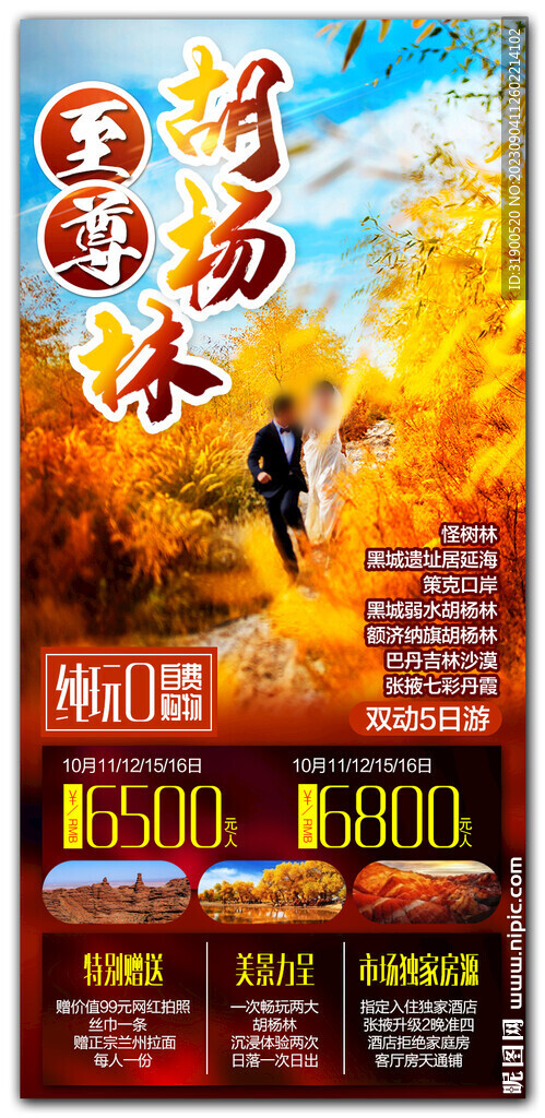 胡杨林旅游海报