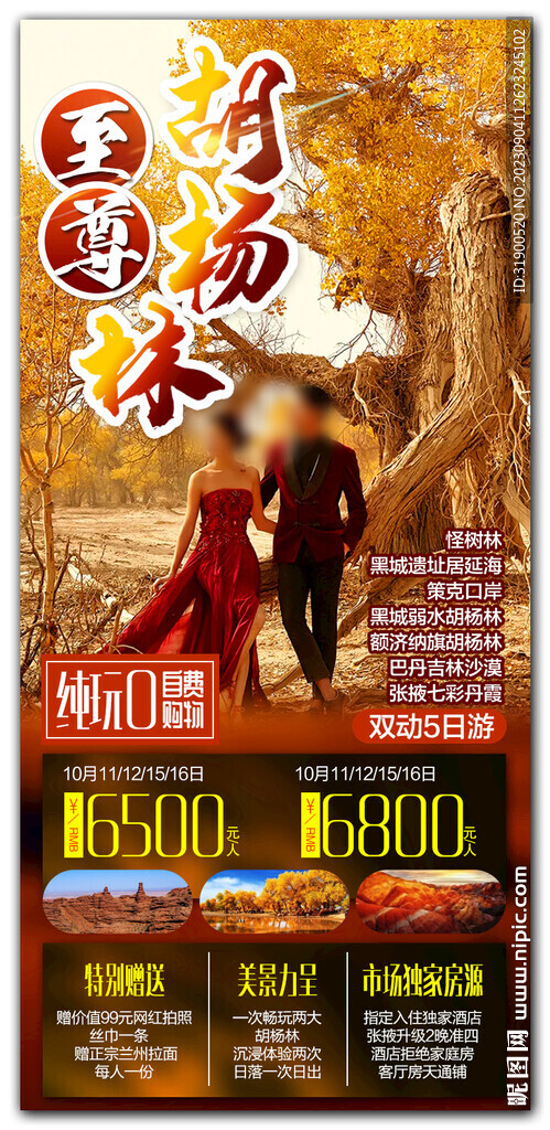 胡杨林