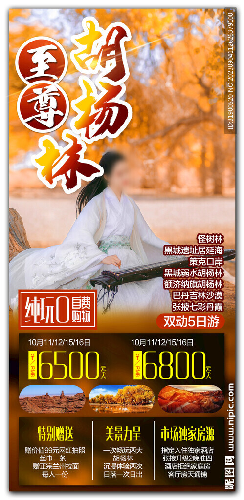 胡杨林
