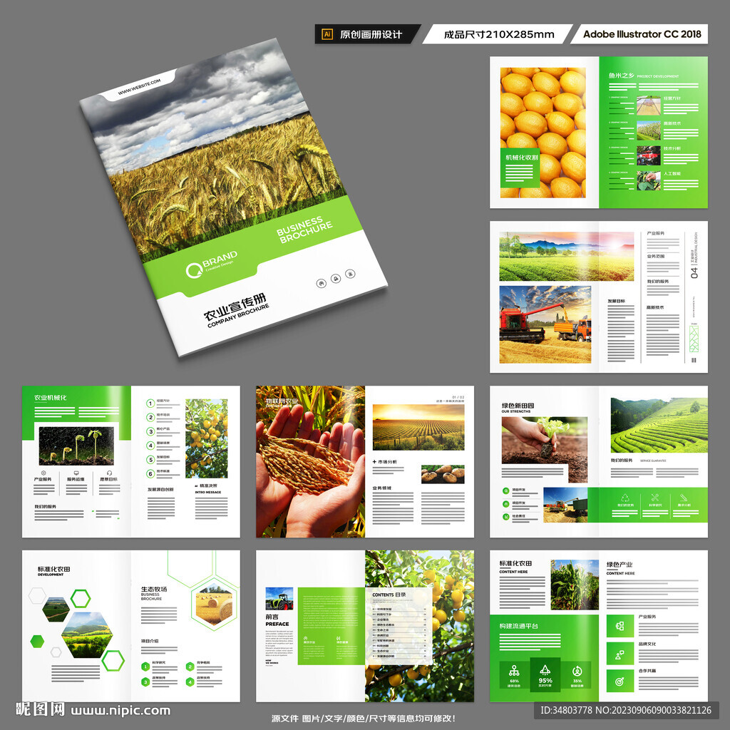 农产品画册