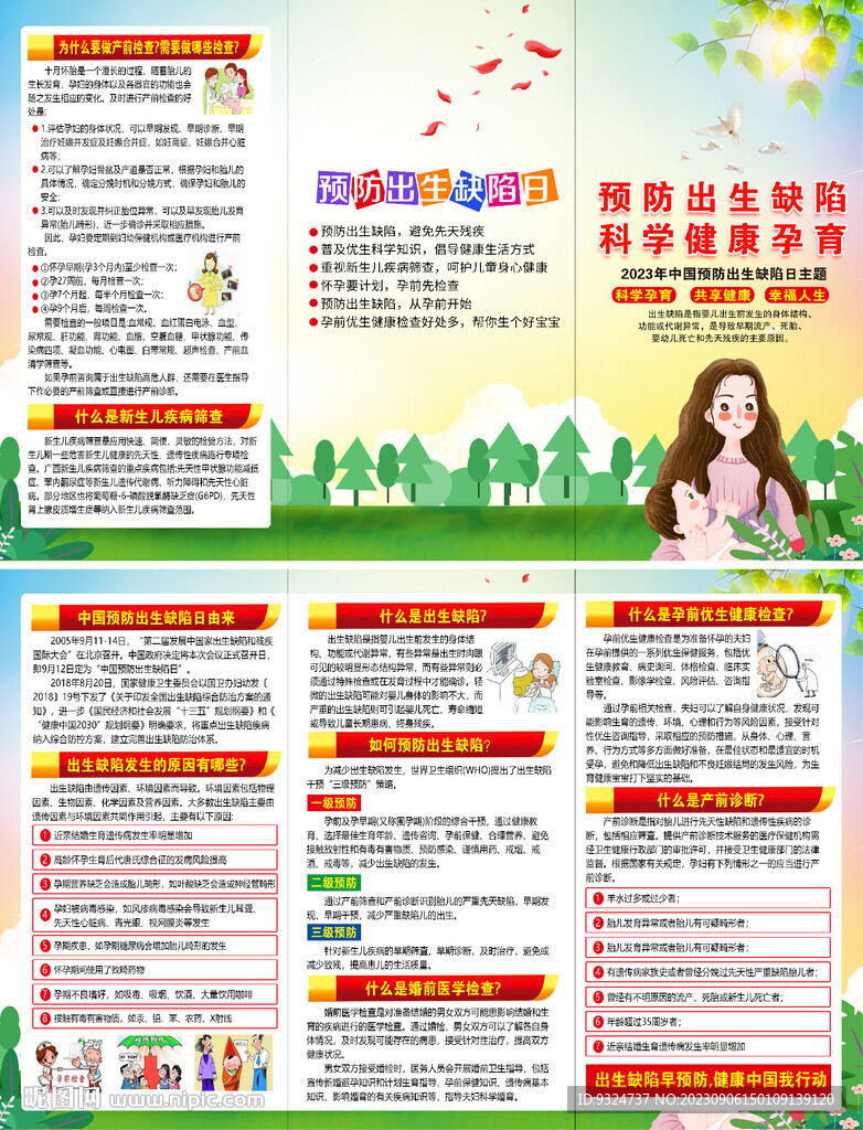 2023年预防出生缺陷日三折页
