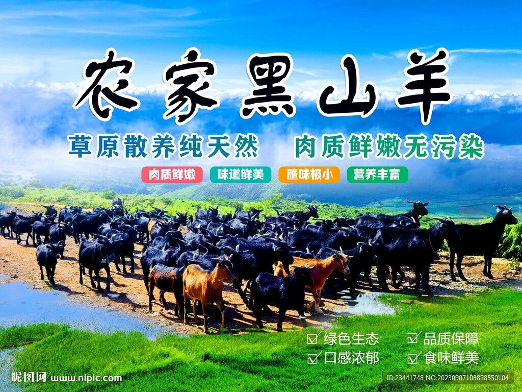 黑山羊
