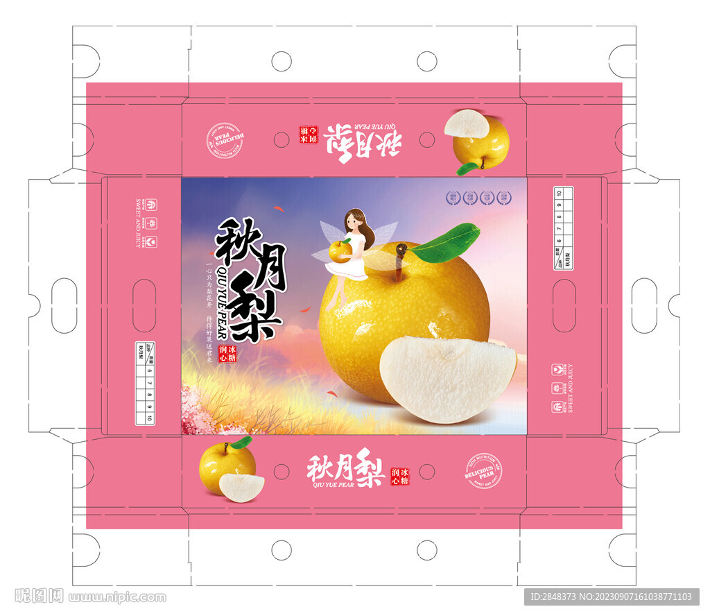 天使 秋月梨平面展开图