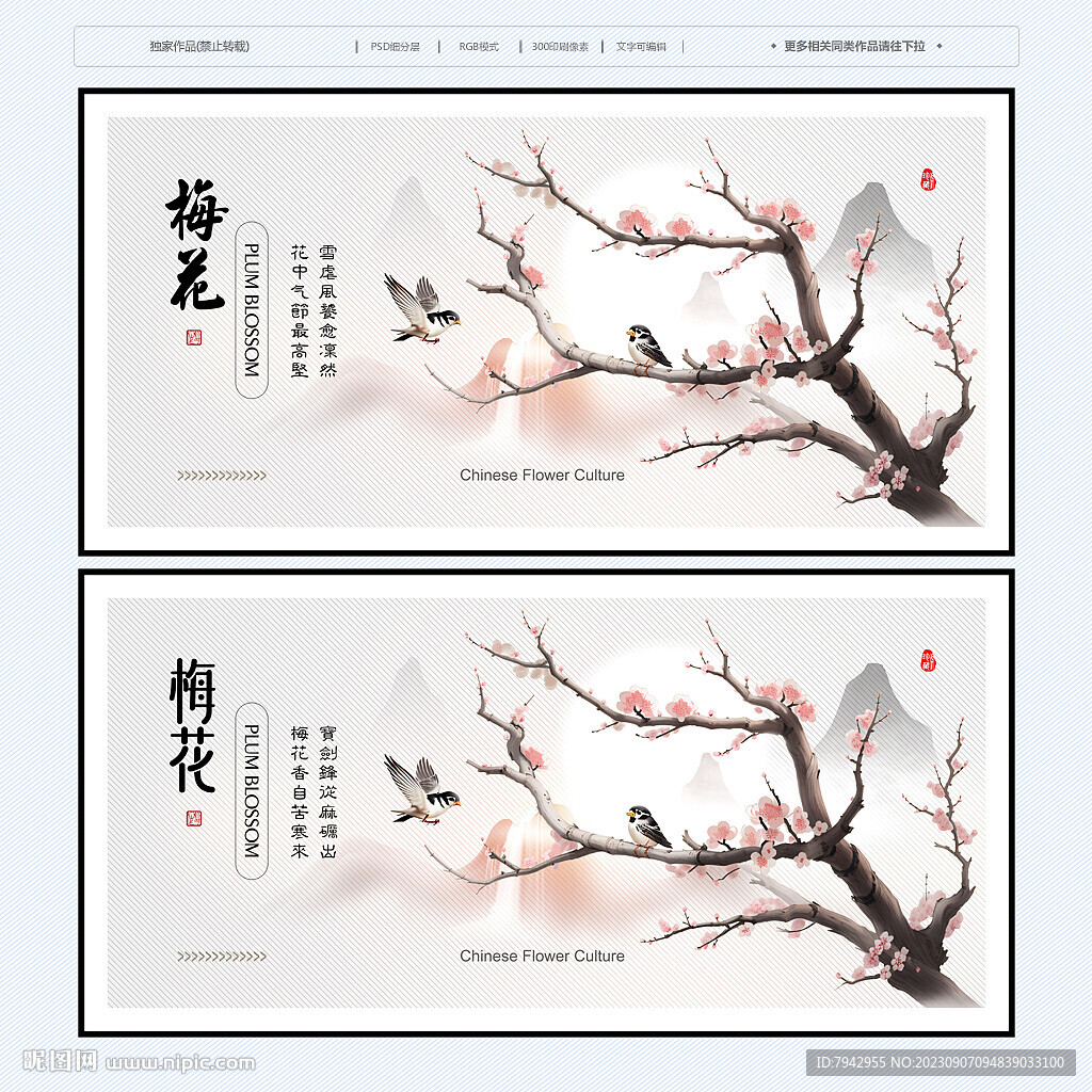 梅花国画