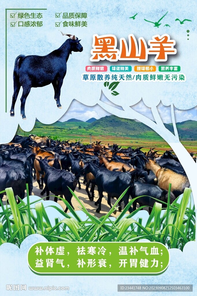 黑山羊
