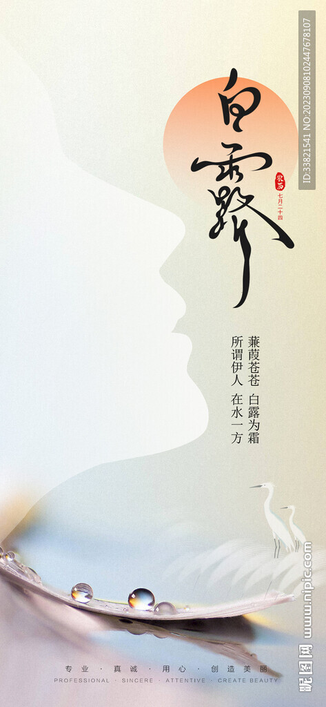 白露