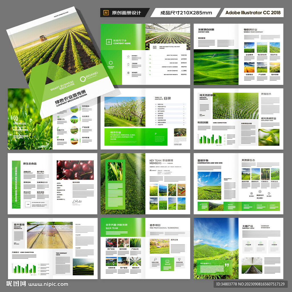 农业科技画册