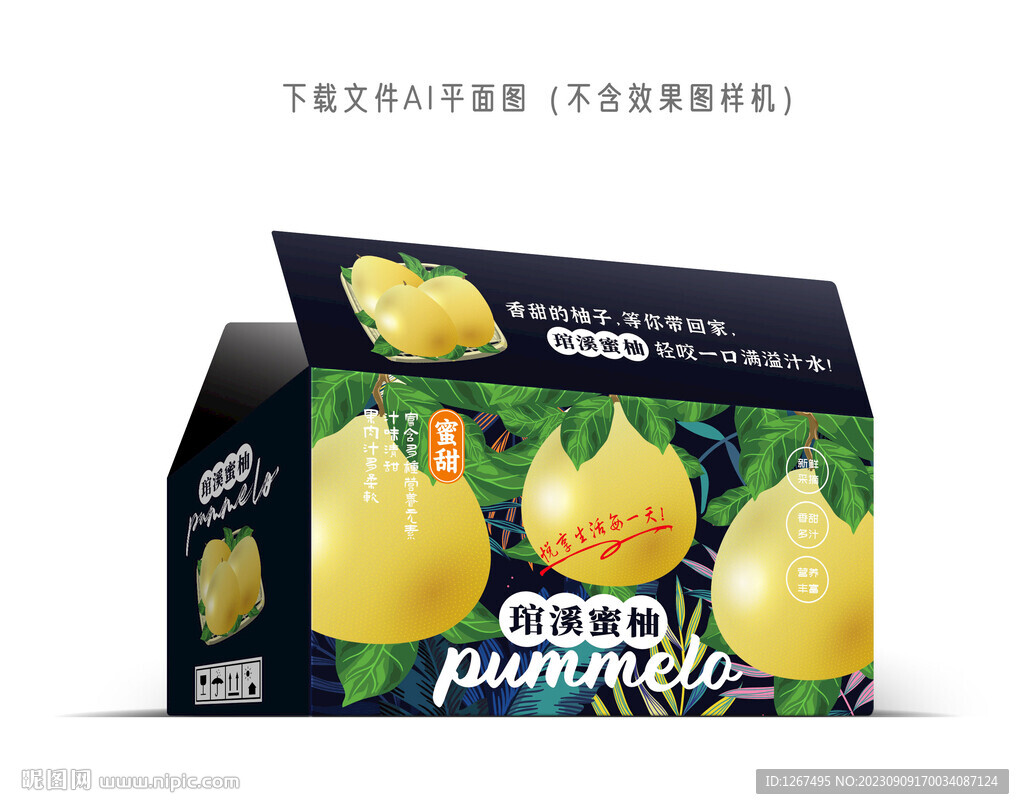 琯溪蜜柚礼盒
